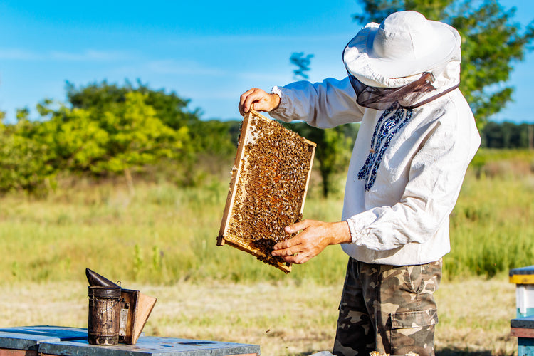 Bee related products