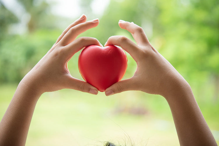 HEART & CIRCULATION