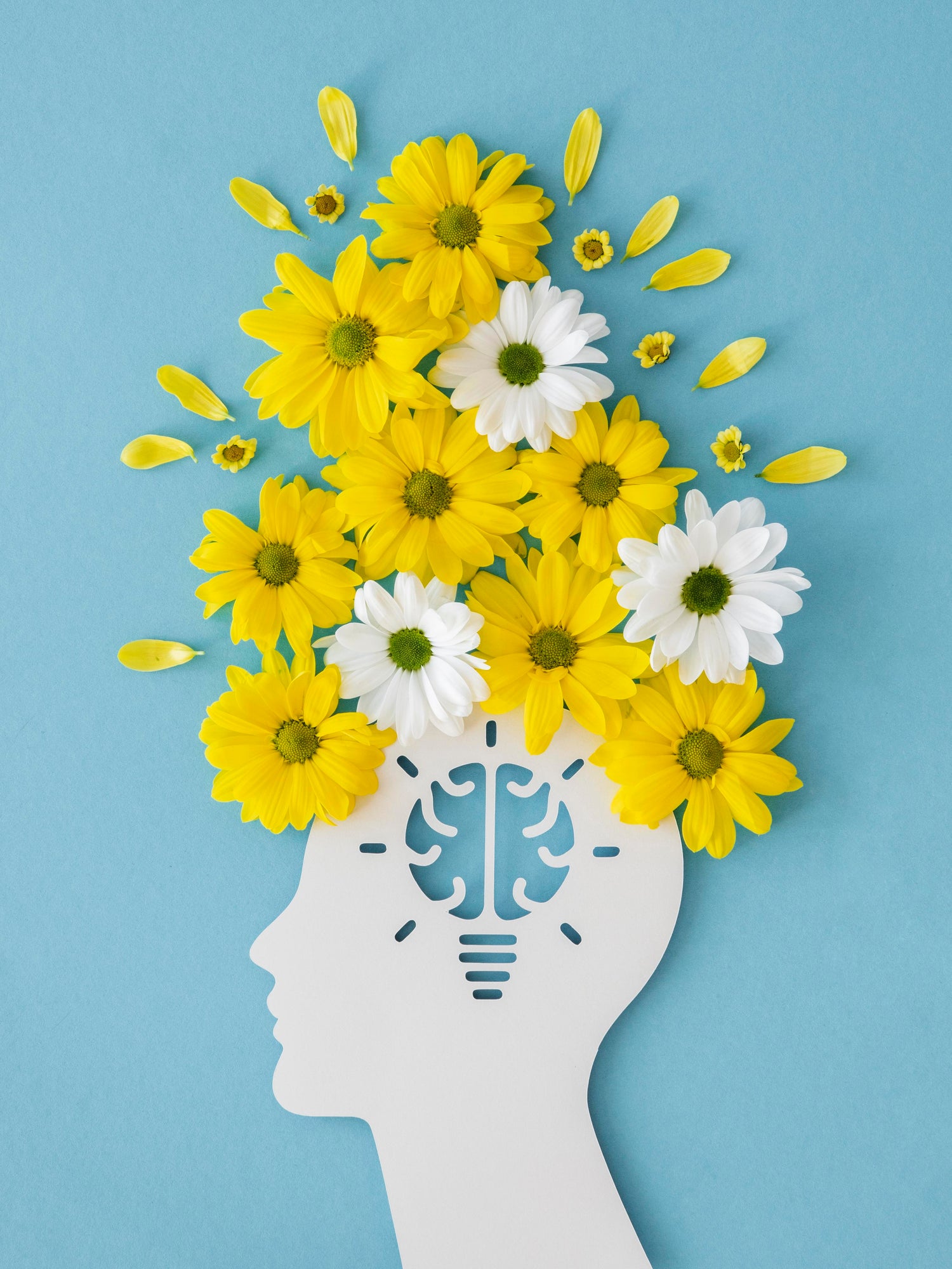 BRAIN SUPPORT